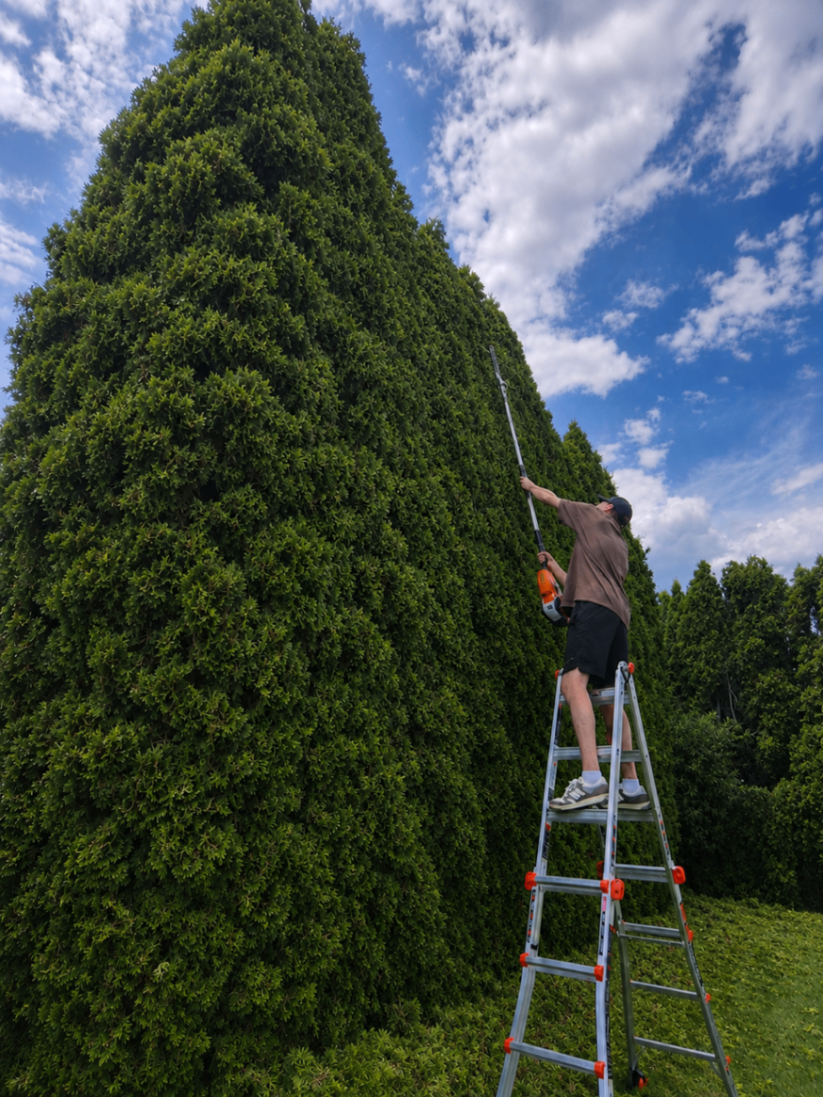 Lakeside Kelowna home exterior service