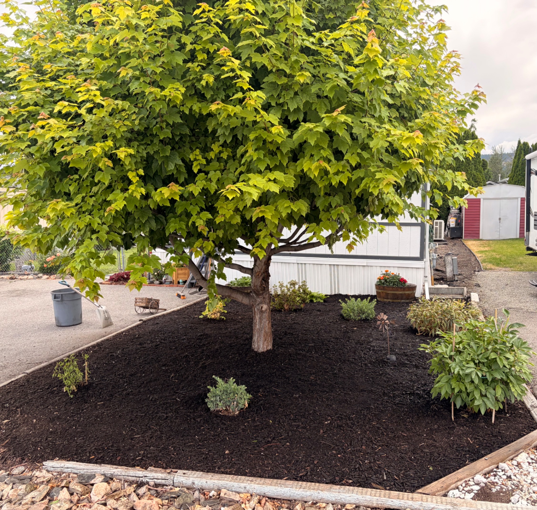 Fresh mulch & garden bed