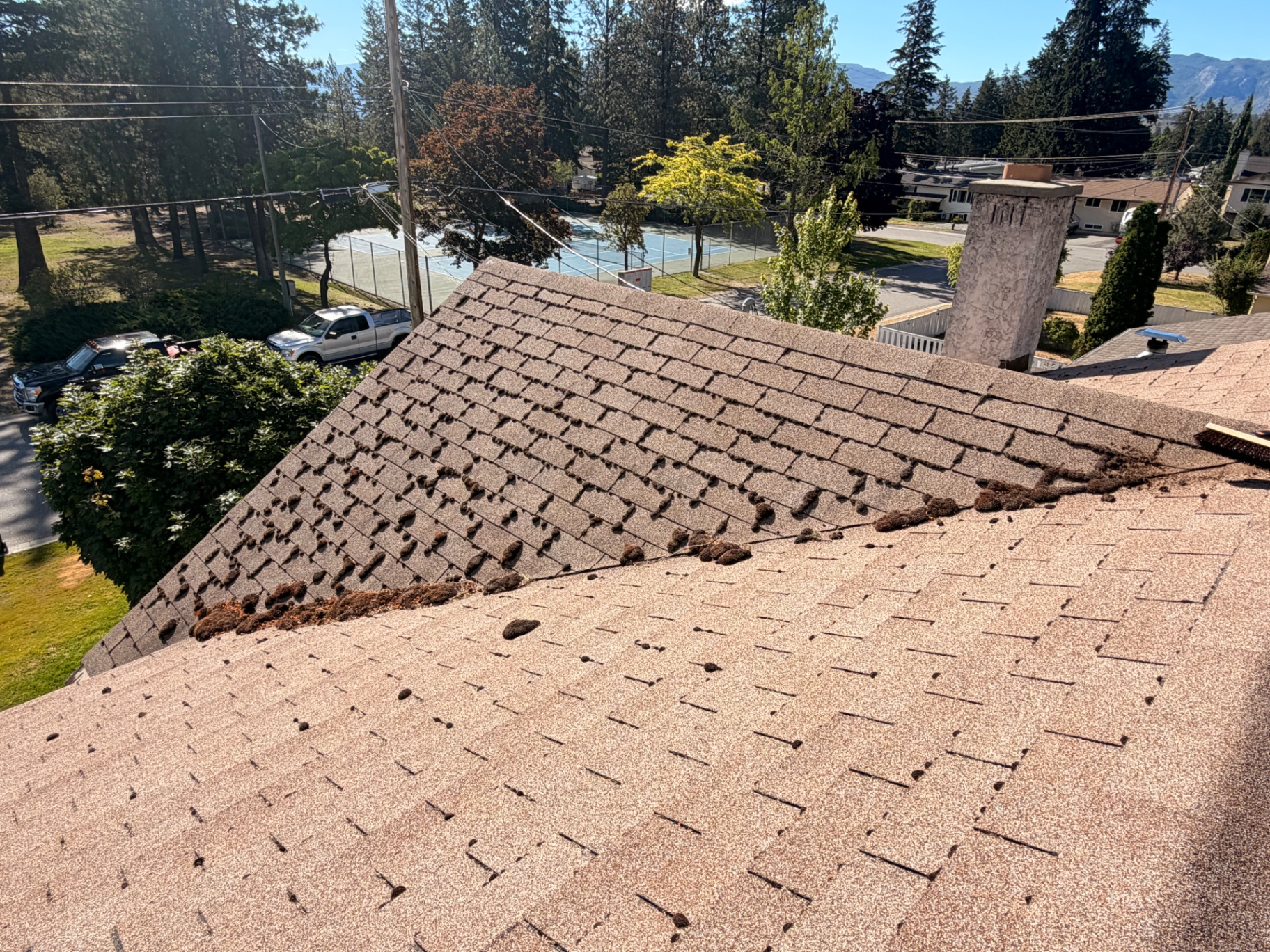 Moss-covered roof — before